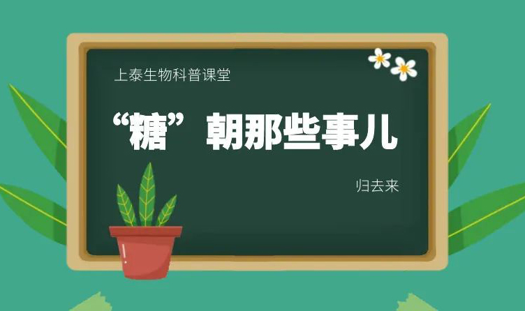 “糖”朝那些事儿