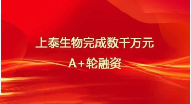 【上泰资讯】星空·综合体育完成数千万元A+轮融资